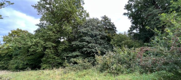  Land in Nienburg, Germany No. 292573 11