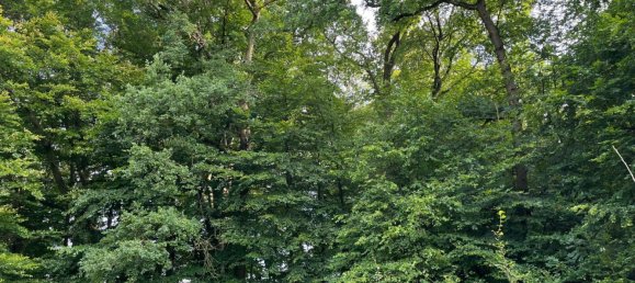  Land in Nienburg, Germany No. 292573 7