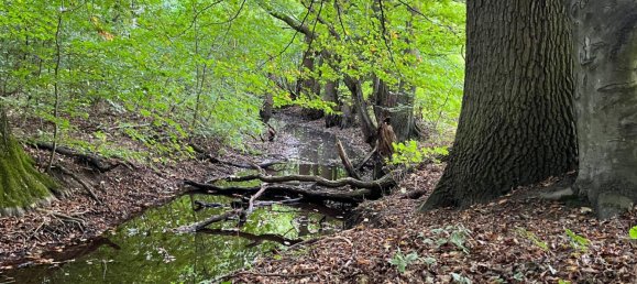  Land in Nienburg, Germany No. 292573 3