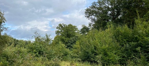  Land in Nienburg, Germany No. 292573 5