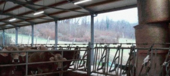 Garage in Pieve Fosciana, Italy 16m², Nr. 376962 3