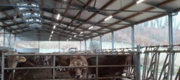 Garage in Pieve Fosciana, Italy 16m², Nr. 376962 4