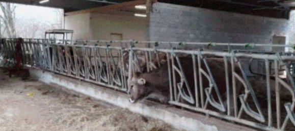 Garage in Pieve Fosciana, Italy 16m², Nr. 376962 6