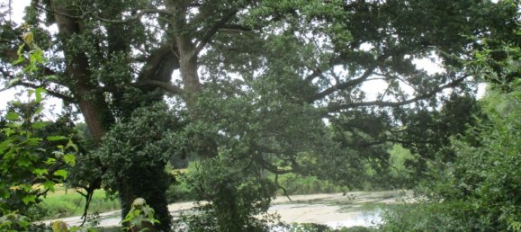 6 bedrooms Castles in Schleswig-Holstein, Germany No. 74817 10