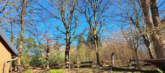 6 bedrooms Castles in Schleswig-Holstein, Germany No. 74817 43