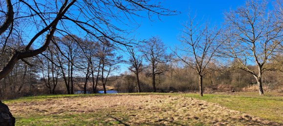 6 bedrooms Castles in Schleswig-Holstein, Germany No. 74817 48