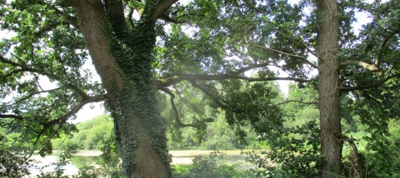 6 bedrooms Castles in Schleswig-Holstein, Germany No. 74817 13