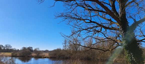 6 bedrooms Castles in Schleswig-Holstein, Germany No. 74817 49