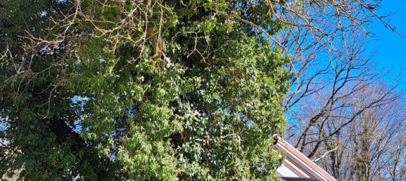 6 bedrooms Castles in Schleswig-Holstein, Germany No. 74817 38