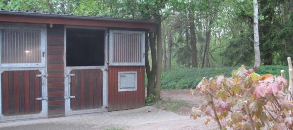 6 bedrooms Castles in Schleswig-Holstein, Germany No. 74817 8