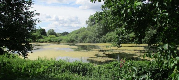 6 bedrooms Castles in Schleswig-Holstein, Germany No. 74817 12
