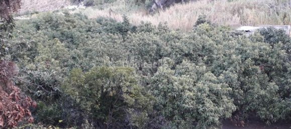  قطعة أرض في Frigiliana, Spain 42متر مربع رقم 138658 4