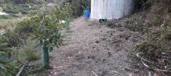  قطعة أرض في Frigiliana, Spain 42متر مربع رقم 138658 2