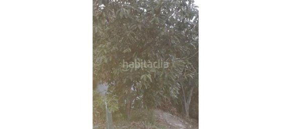  قطعة أرض في Frigiliana, Spain 42متر مربع رقم 138658 6