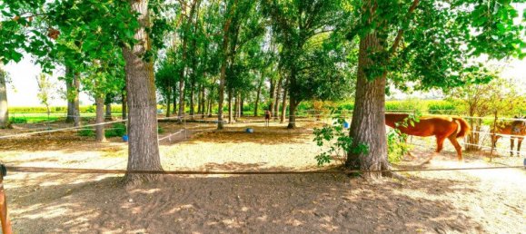 5 Schlafzimmer Haus in Curtatone, Italy, Nr. 128611 37