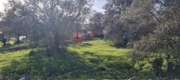 Land in Sao Bras de Alportel, Portugal No. 35252 3