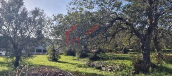 Land in Sao Bras de Alportel, Portugal No. 35252 2