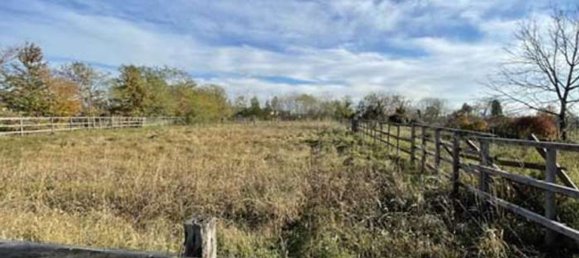 14 rooms Villa in Santa Lucia di Piave, Italy No. 263893 22