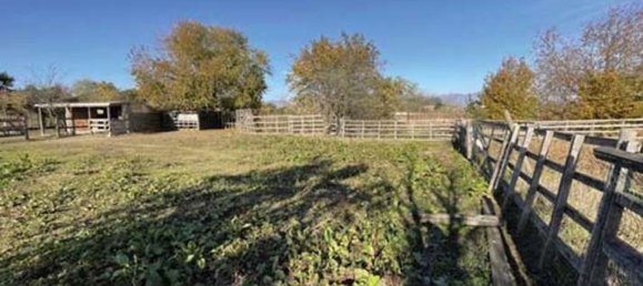 14 rooms Villa in Santa Lucia di Piave, Italy No. 263893 21