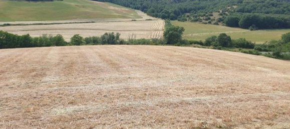 Земельный участок с 1 комнатой в Тускания, Италия № 130127 2