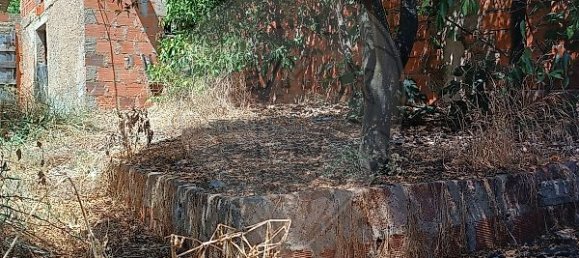 2 Schlafzimmer Haus in Vila Ruiva, Portugal, Nr. 44761 8