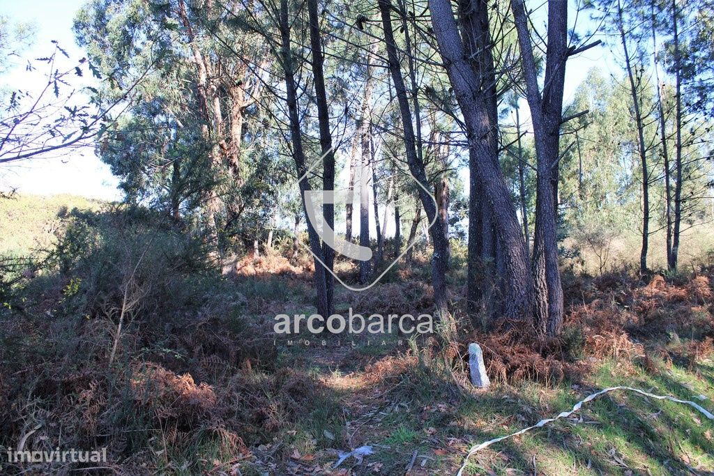490m² Land in Ponte da Barca, Portugal No. 215000