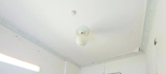 13غرفة مكتب في Moabit, Germany رقم 289934 3