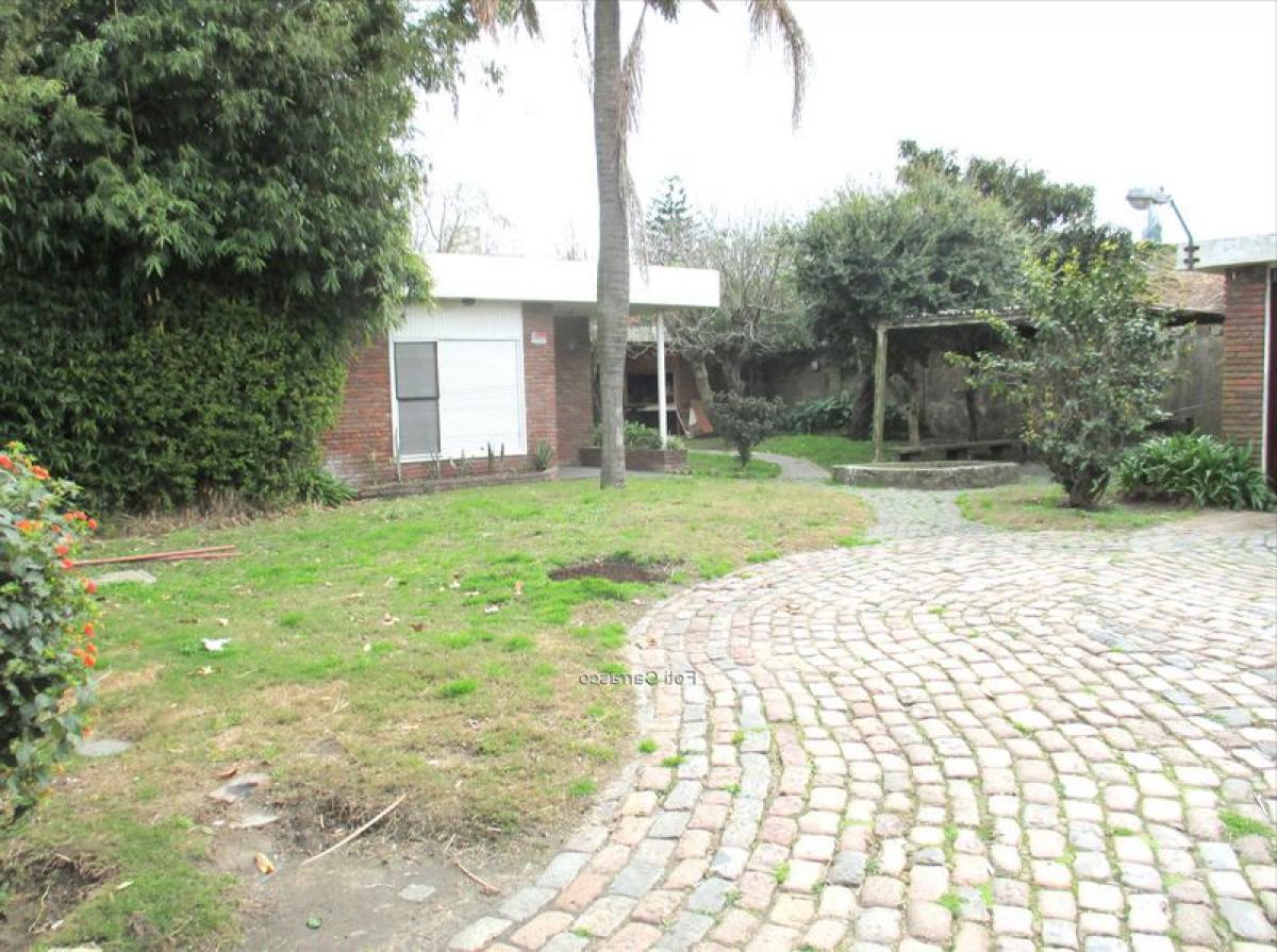 4 bedrooms House in Montevideo, Uruguay No. 7374