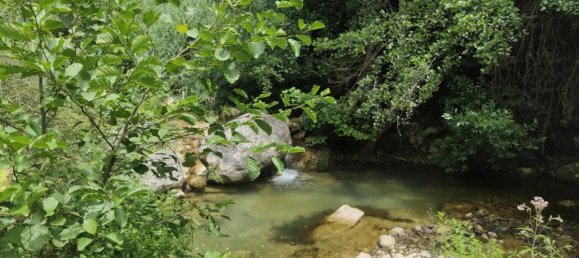 استوديو في Alpes-Maritimes, France رقم 342850 2