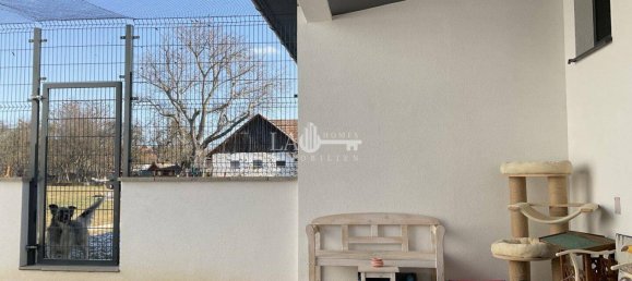 9-Zimmer Haus in Heiligenkreuz im Lafnitztal, Austria, Nr. 186018 11