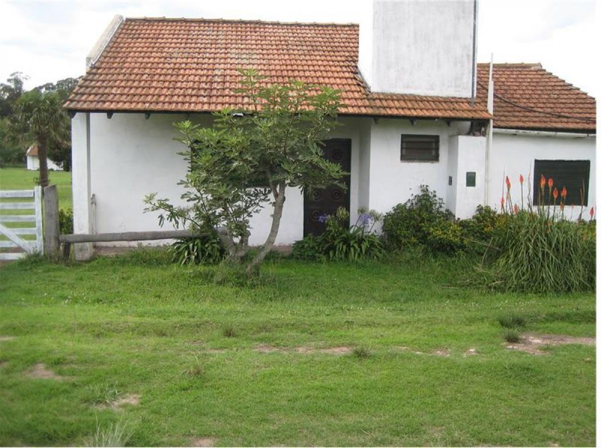 3 bedrooms House in Mar del Plata, Argentina No. 99429