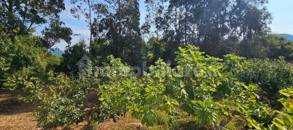 3 bedrooms Villa in Papasidero, Italy No. 339382 21