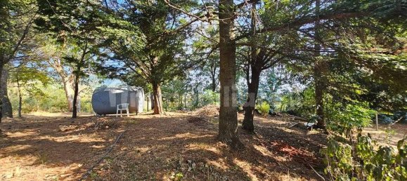 3 bedrooms Villa in Papasidero, Italy No. 339382 19