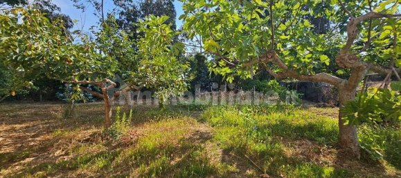 3 bedrooms Villa in Papasidero, Italy No. 339382 24