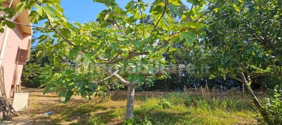 3 bedrooms Villa in Papasidero, Italy No. 339382 16