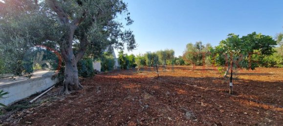 Villa de 4 divisões em San Vito dei Normanni, Italy N.º 38017 43