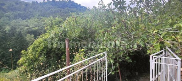 1 bedroom Villa in Ceriana, Italy No. 268198 5