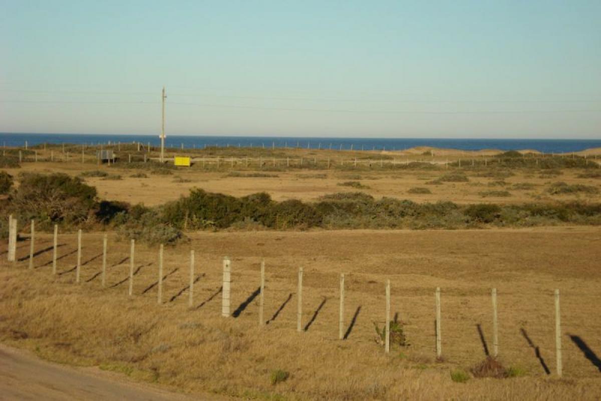  Farm in Maldonado, Uruguay No. 14661