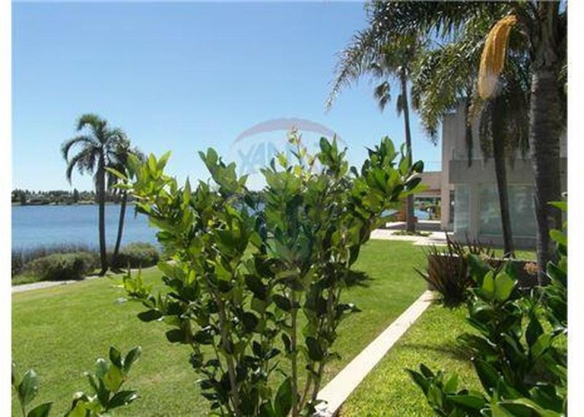 Studio in Tigre, Argentina No. 63237