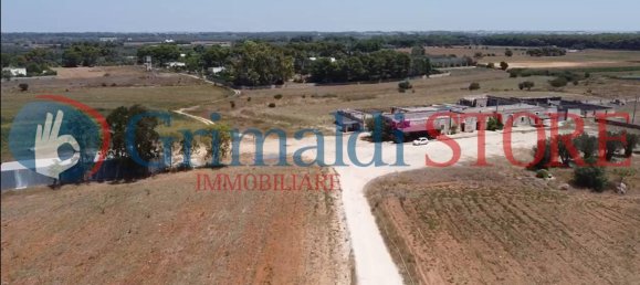 5 Schlafzimmer Haus in Cutrofiano, Italy, Nr. 132793 5