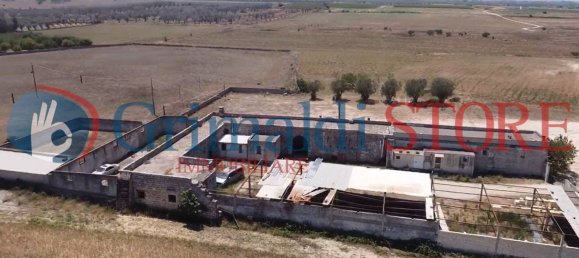 5 Schlafzimmer Haus in Cutrofiano, Italy, Nr. 132793 6