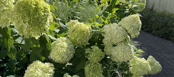 4 rooms Bungalow in Kladow, Germany No. 266659 18