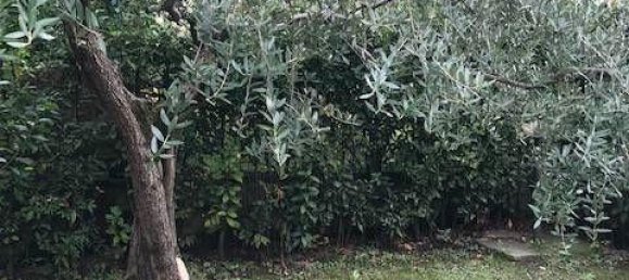 6-Zimmer Villa in Pistoia, Italy, Nr. 231214 2