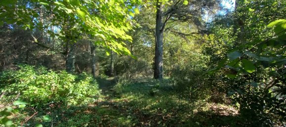 Дом с 5 спальнями в Ла Ферте-Сен-Сир, Франция № 220421 17