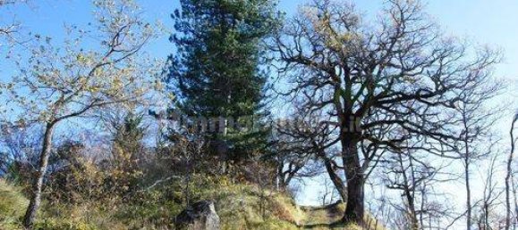 Дом с 15 спальнями в Кастель ди Казио, Италия № 120973 31