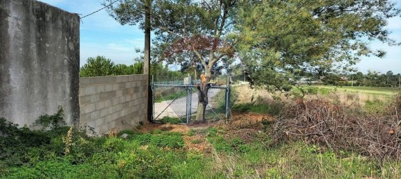 Grundstück in Palmela, Portugal 44000m², Nr. 81506 23