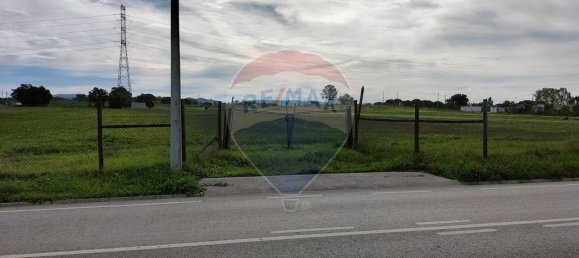 Grundstück in Palmela, Portugal 44000m², Nr. 81506 27