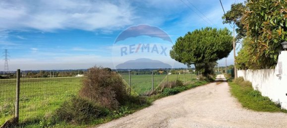 Grundstück in Palmela, Portugal 44000m², Nr. 81506 25