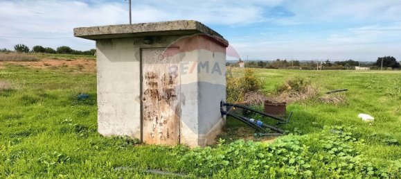 Grundstück in Palmela, Portugal 44000m², Nr. 81506 16