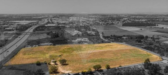 Grundstück in Palmela, Portugal 44000m², Nr. 81506 4